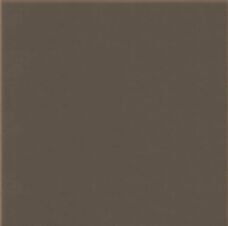 Плитка базовая Opoczno Simple brown R 30х30